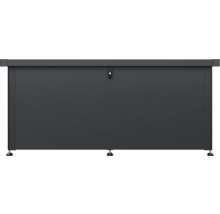 Graue Aufbewahrungsbox für den Außenbereich