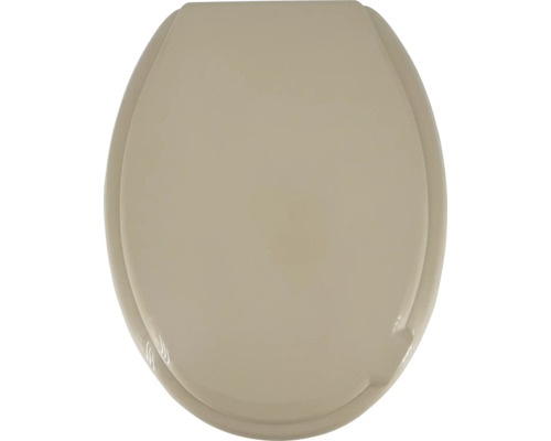 Toilettendeckel aus Kunststoff