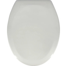 Toilettendeckel aus Kunststoff