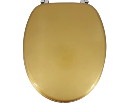 Toilettendeckel aus Kunststoff mit Metallbeschlägen