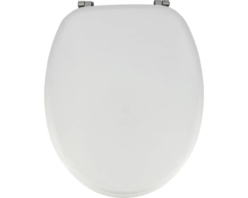 Toilettendeckel aus Kunststoff mit Befestigung