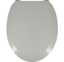 Toilettendeckel aus Kunststoff mit Befestigung