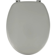 Toilettendeckel aus Kunststoff