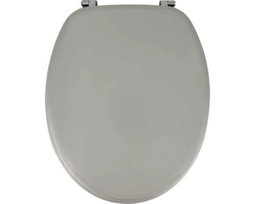 Toilettendeckel aus Kunststoff