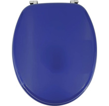 Toilettensitz aus Kunststoff mit Metallscharnieren