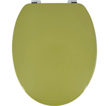 Toilettendeckel aus Holz mit Chromscharnieren