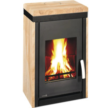 Kaminofen mit Holzfeuer im Brennraum