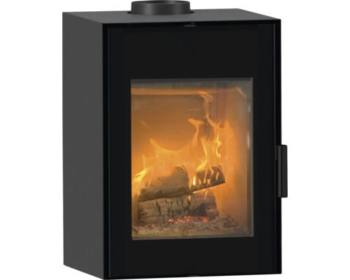 Kaminofen mit Holzfeuer hinter Glas