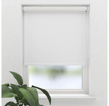 Weißes Rollo am Fenster mit Kettenzug und Pflanze