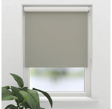 Blick auf ein Fenster mit einem grauen Rollo