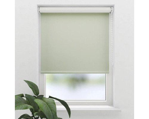 Grüne Fensterrollo zur Verdunkelung am Fenster