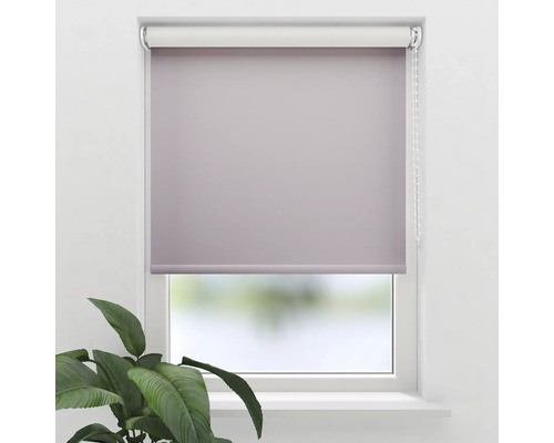 Fenster mit blickdichtem Rollo