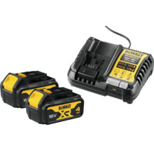 DeWalt Akku-Doppelpack mit Ladegerät