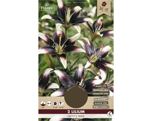 Verpackung mit zwei Lilien der Sorte Netty's Pride