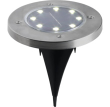 Solarleuchte mit Erdspieß