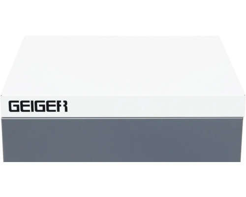 Geiger Logo