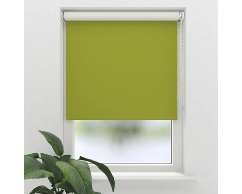 Grüne Fensterrollo im Fensterrahmen