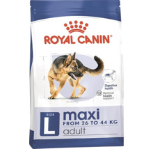 Royal Canin Maxi Adult Hundefutter für große Hunde von 26 bis 44 Kilogramm