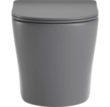 Hängewandtoilette aus Keramik mit passendem WC-Sitz inklusive Deckel