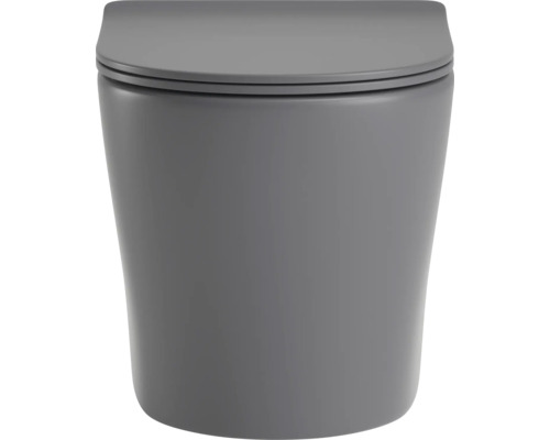 Hängewandtoilette aus Keramik mit passendem WC-Sitz inklusive Deckel
