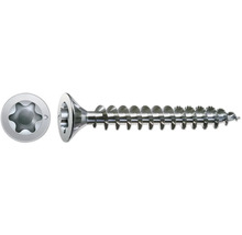 Holzschraube mit Torx-Antrieb im Detail
