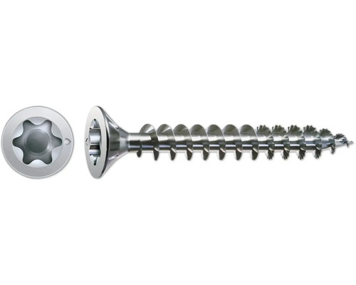 Holzschraube mit Torx-Antrieb im Detail