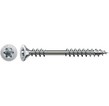 Spax Schraube mit Torx Antrieb