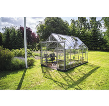 Gewächshaus im Garten mit Pflanzenregalen