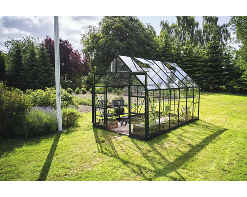 Gewächshaus aus Glas mit Pflanzen im Garten.