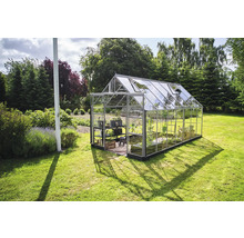 Gewächshaus im Garten mit Regalen und Pflanzen