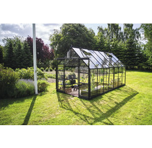 Gewächshaus im Garten mit Regalen und Pflanzen