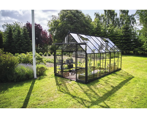 Gewächshaus im Garten mit Regalen und Pflanzen