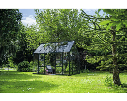 Gewächshaus aus Glas im Garten mit grüner Rasenfläche