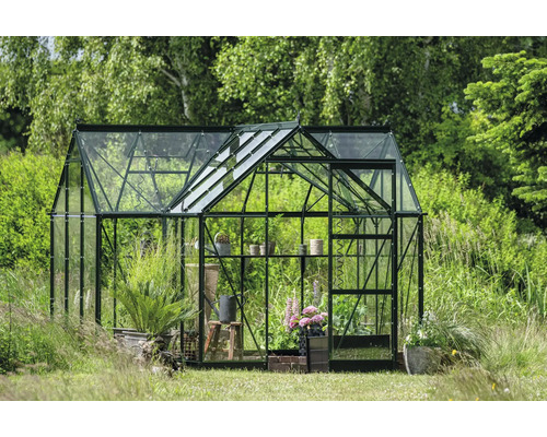 Gewächshaus mit Pflanzen im Garten