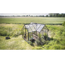 Gewächshaus im Garten mit Pflanzen und Holz