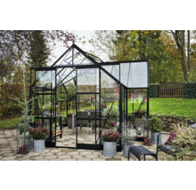 Gewächshaus mit Glaswänden und Pflanzen im Garten.
