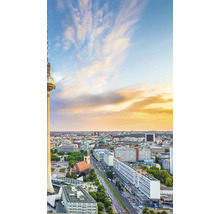 Luftaufnahme von Berlin mit dem Berliner Fernsehturm