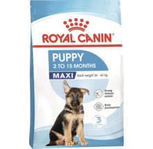 Royal Canin Puppy Maxi Hundefutter für Welpen von 2 bis 15 Monaten mit einem Gewicht von 26 bis 44 Kilogramm.