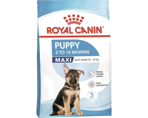 Royal Canin Puppy Maxi Hundefutter für Welpen von 2 bis 15 Monaten mit einem Gewicht von 26 bis 44 Kilogramm.