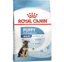 Royal Canin Puppy Maxi Hundetrockenfutter für Welpen grosser Rassen