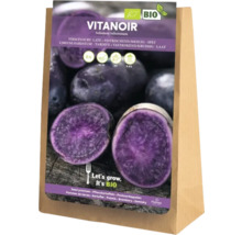 Vitanoir Saatkartoffeln im Sack