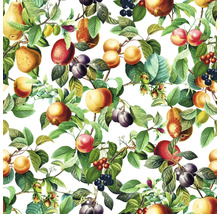 Illustration von Früchten und Blättern, geeignet als Tapete oder Stoffmuster