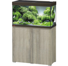 Aquarium mit Unterschrank und Bepflanzung