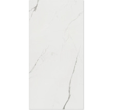 Fliese mit Marmoroptik