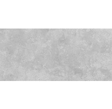 Feinsteinzeugfliese mit Betonoptik in Grau mit matter Oberfläche