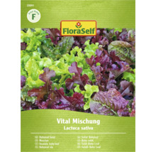 FloraSelf Vital Mischung Baby Leaf Salat Samen Packung