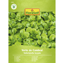 FloraSelf Feldsalat-Samenpackung