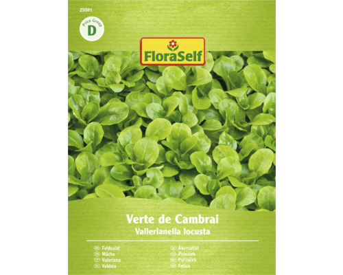 FloraSelf Feldsalat-Samenpackung