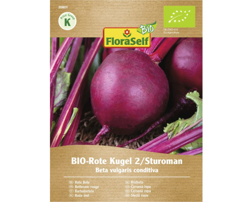 Bio Rote Bete Sorte Kugel 2 Sturoman Samenpackung