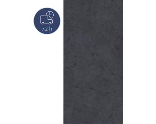 Duschrückwand BREUER Express Q72 Seidenmatt Stein anthrazit 255 x 150 cm 1413541000204 Dekorplatte mit Liefersymbol 72 Stunden
